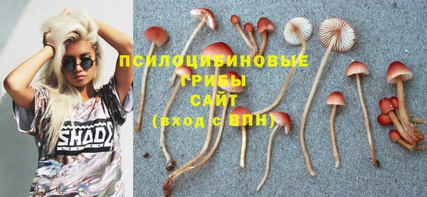 каннабис Няндома