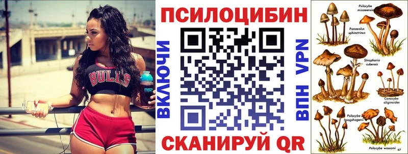Галлюциногенные грибы GOLDEN TEACHER Щёкино